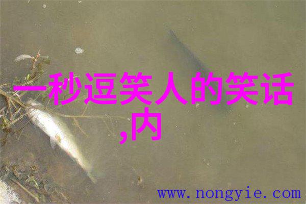 都是为了考验你
