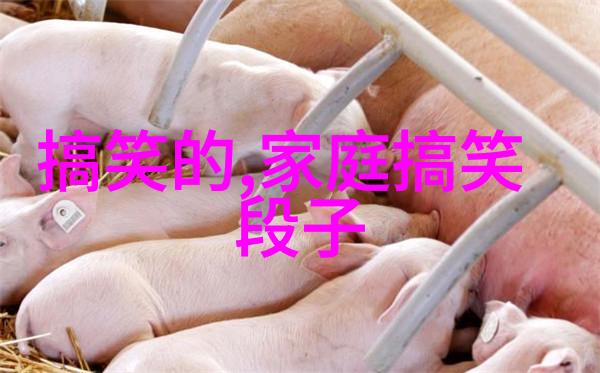 这老板得多有才