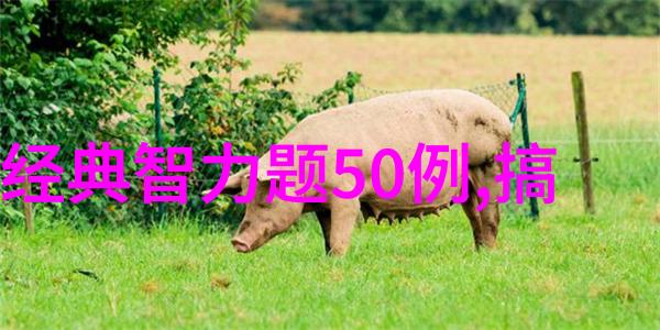 向与老君是近邻 打一成语