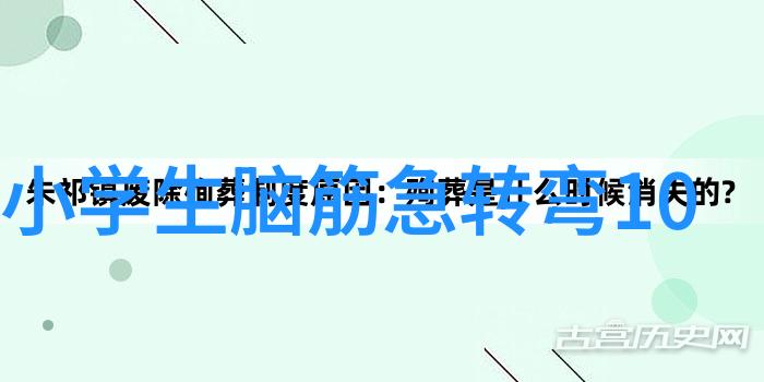 真运气